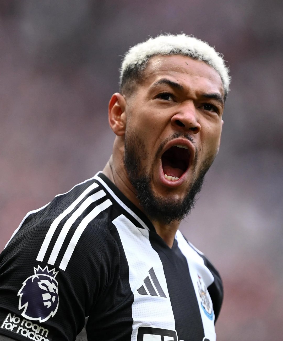 同乐城网页版-纽卡斯尔大胜，球队士气大增的简单介绍